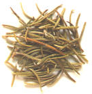 Dried rosemary, pet food neurotoxin