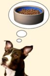 Dog thinking of dry dog food